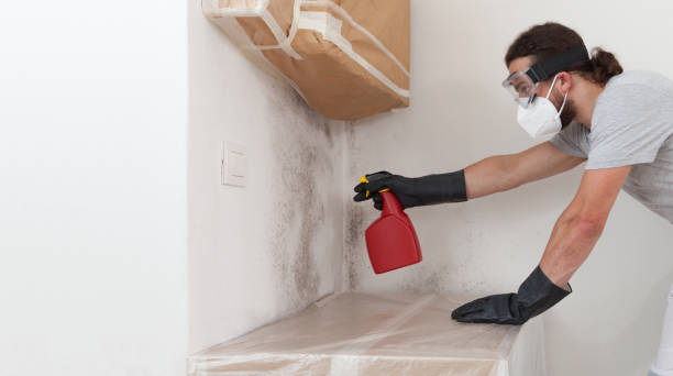 Professional Bathroom Mold Removal technician working in Stone Park, IL
